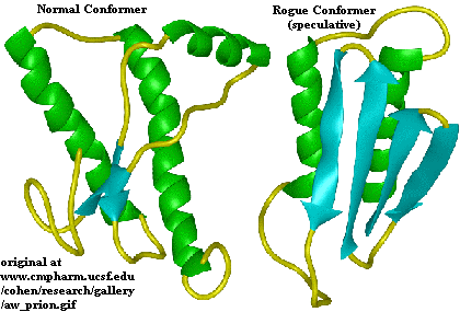 Comparison of normal vs. rogue prion