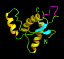 Suggested structure of a prion